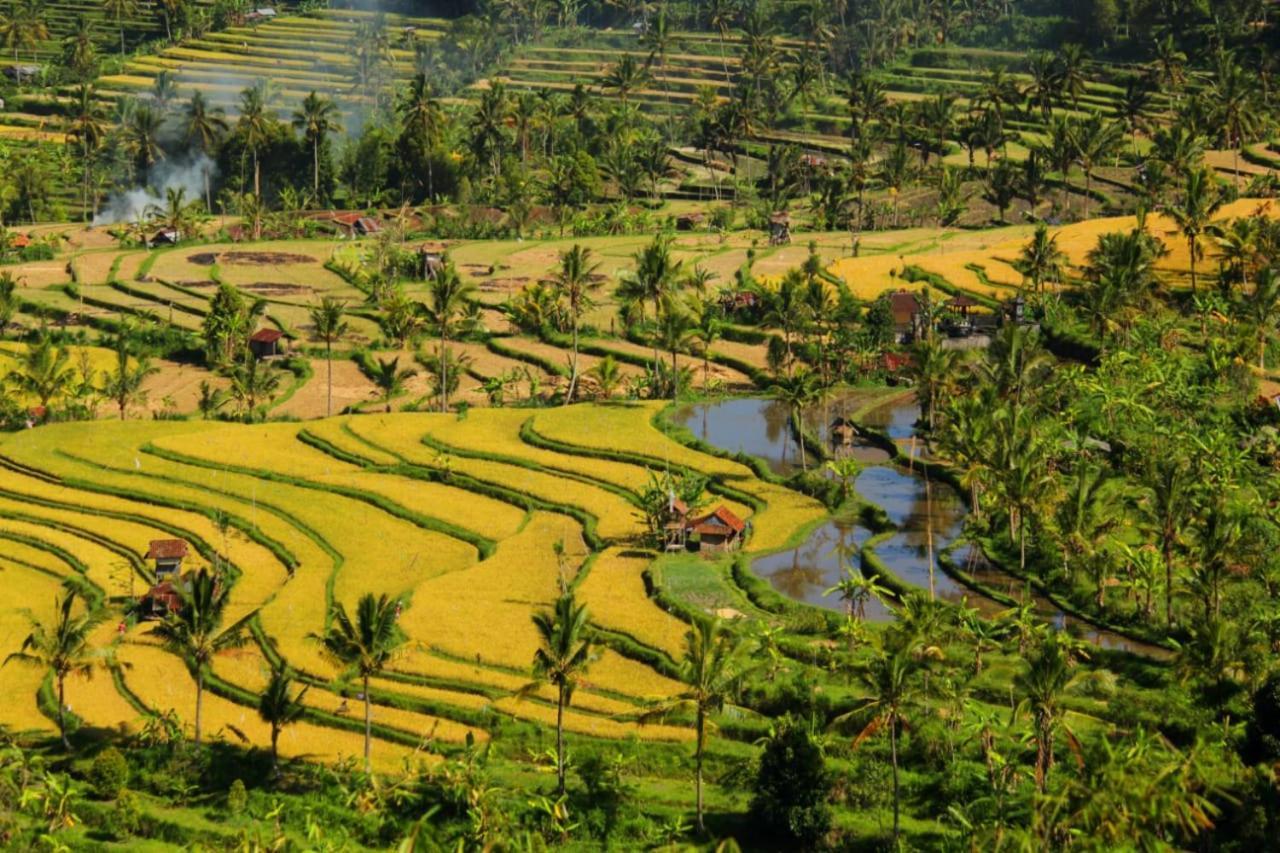 Bali Munduk Delux Bungalow Villa Singaraja  Ngoại thất bức ảnh