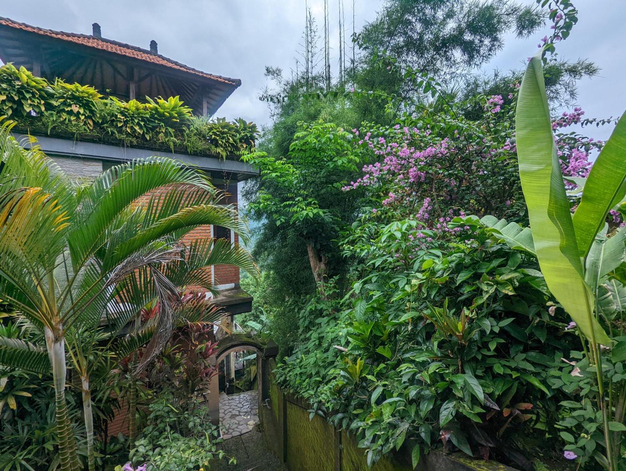 Bali Munduk Delux Bungalow Villa Singaraja  Ngoại thất bức ảnh