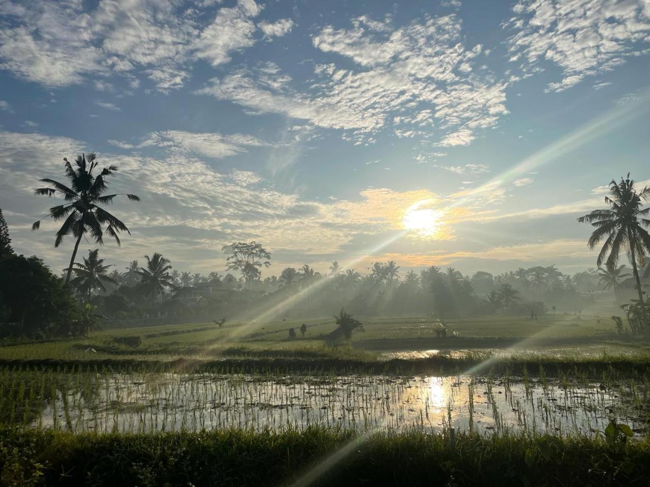 Bali Munduk Delux Bungalow Villa Singaraja  Ngoại thất bức ảnh